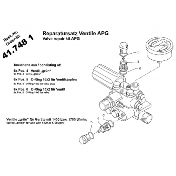 Kränzle 417481 Reparatur Satz Ventile APG-Pumpe (grün)