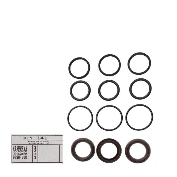 Manschettensatz Kit 141 Interpump